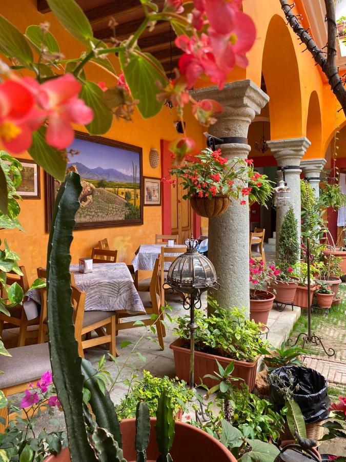 Los Arrayanes Oaxaca Zewnętrze zdjęcie